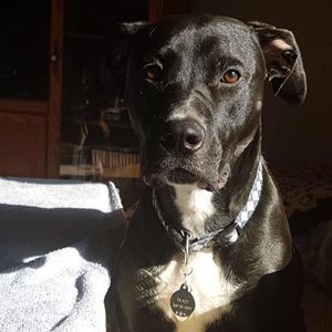 Meet your Posher, Beth